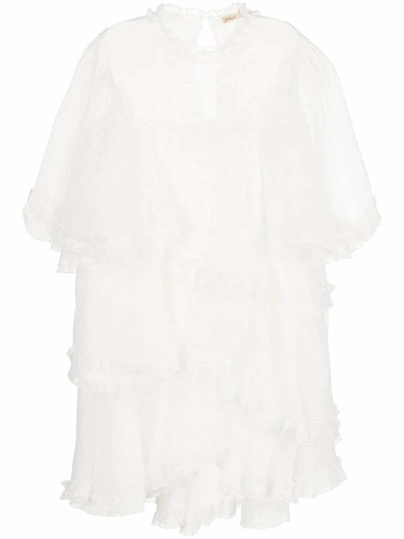 Stella Nova 'Skylar' Tiered Sheer Mini Dress 5 Stella Nova 'Skylar' Tiered Sheer Mini Dress